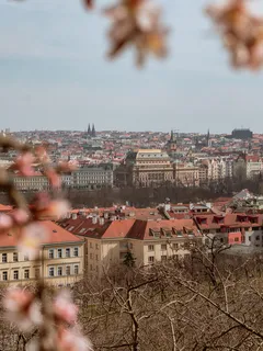 Výhled na město z kopce s panoramatem městských budov