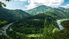 Horseshoe-shaped ostrov uprostřed řeky obklopený zelenými stromy